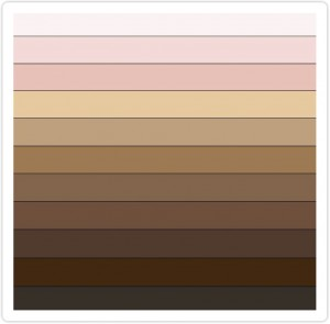 Skin color scale used in LAPOP